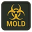 Mold Testing Home Inspection Services