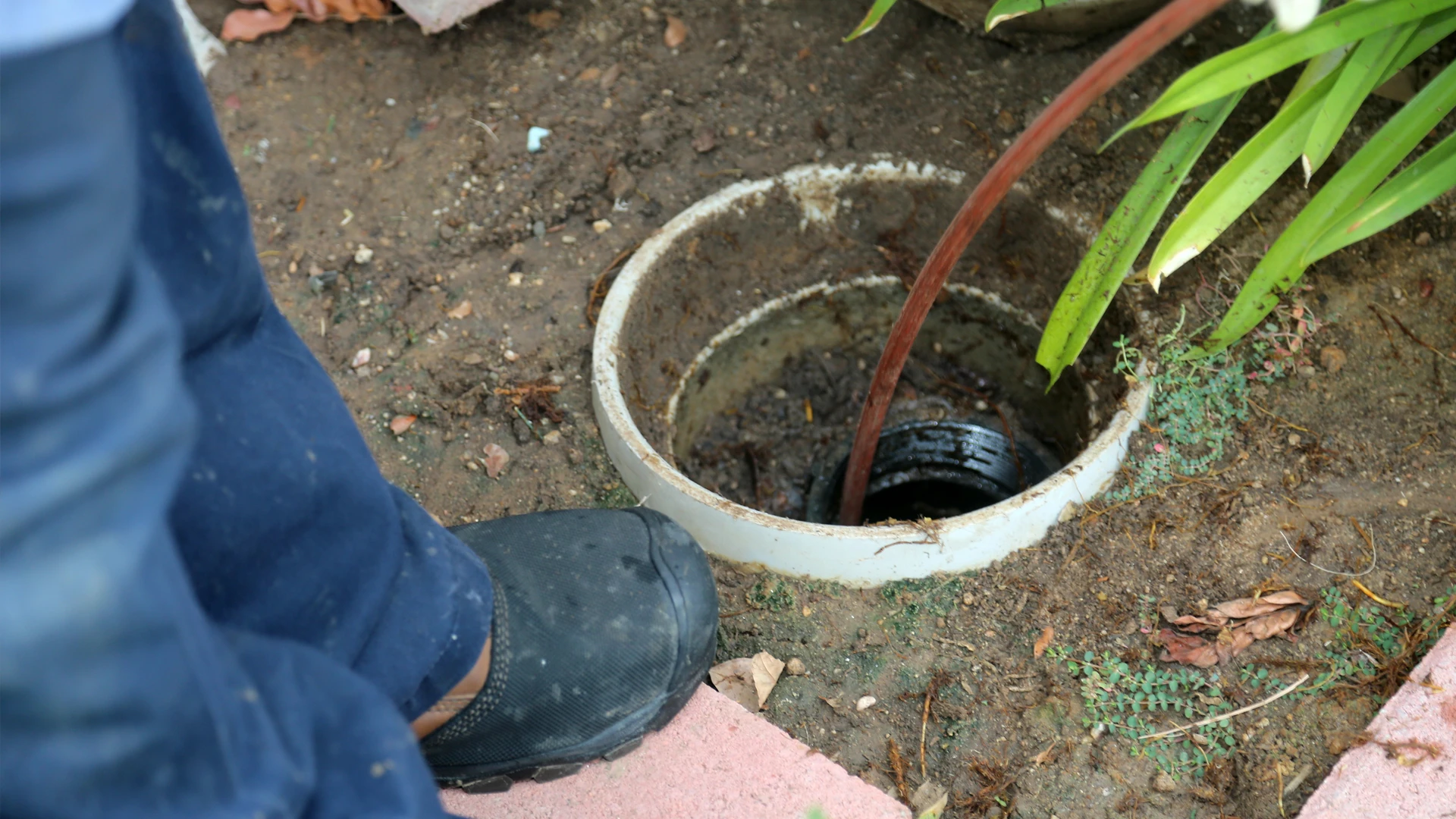 Sewer Line Inspection Services